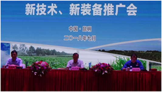 118红姐统一主图库